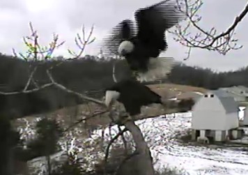 ScreenHunter_44 Feb. 21 11.21.jpg